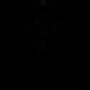 Meet your Posher, Chad